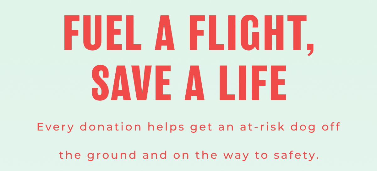 Fuel a Flight, Save a Life - Every donation helps get an at-risk dog off the ground and on the way to safety.