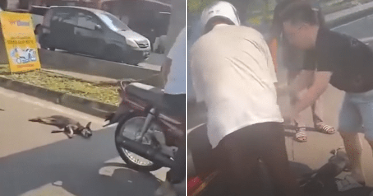 Man Ties Dog to Motorcycle and Drags It Through the Street