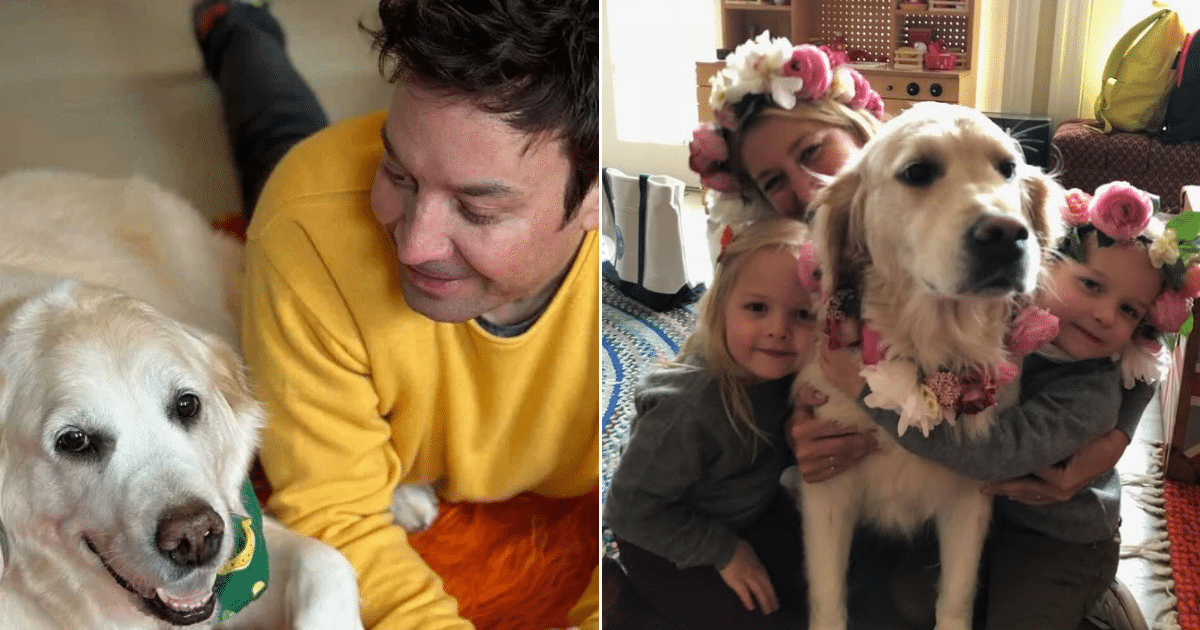 Jimmy Fallon Shares Heartfelt Tribute After Losing His Beloved Dog Gary: ‘The House Is So Quiet’