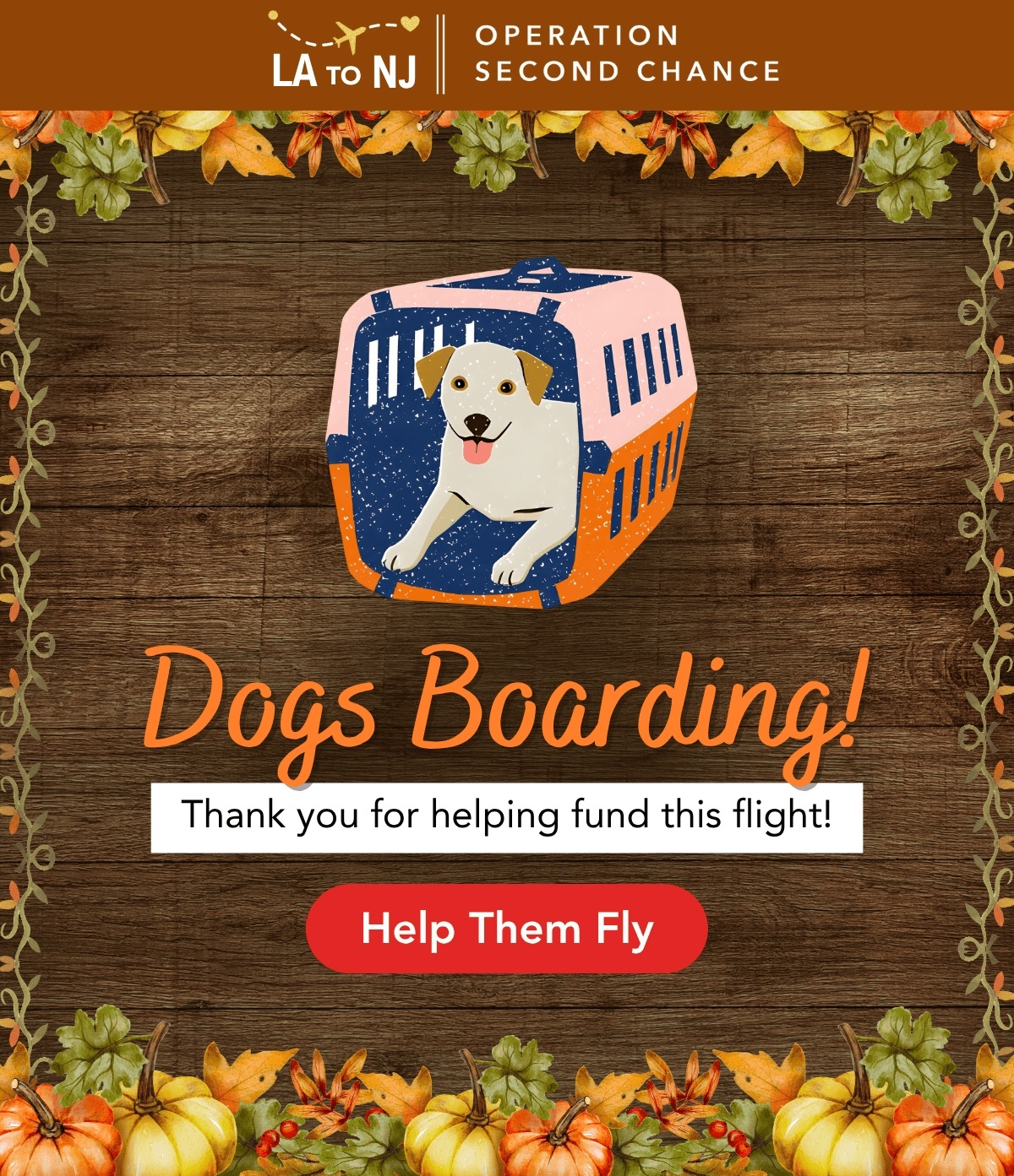 A Flight To Be Thankful For: Urgent Rescue Mission