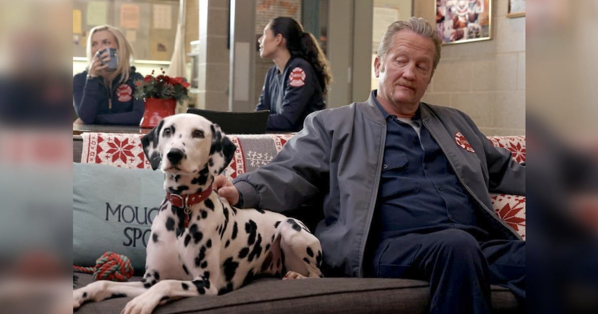 Chicago Fire Cast And Crew Mourn The Loss Of Their Famous Dalmatian Costar