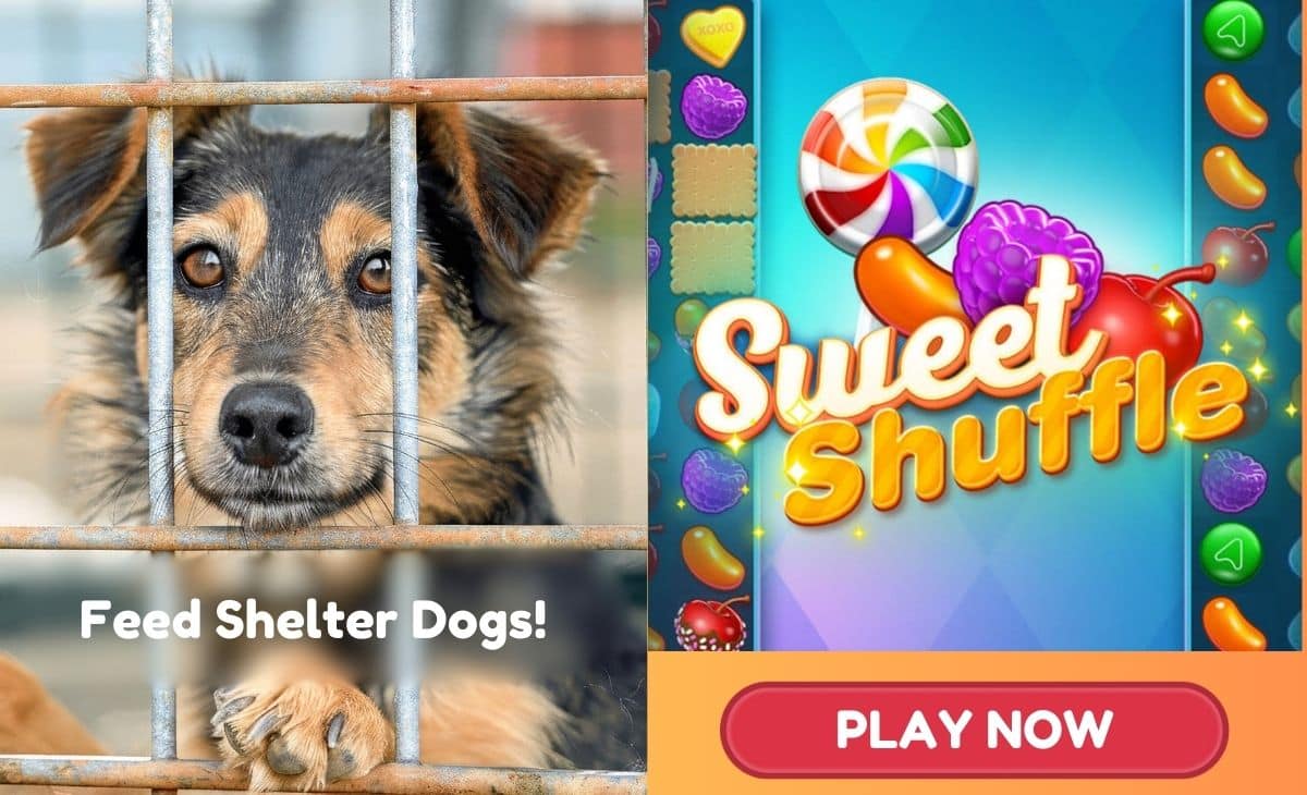 Help Shelter Dogs: Play Games, Earn Their Meals!