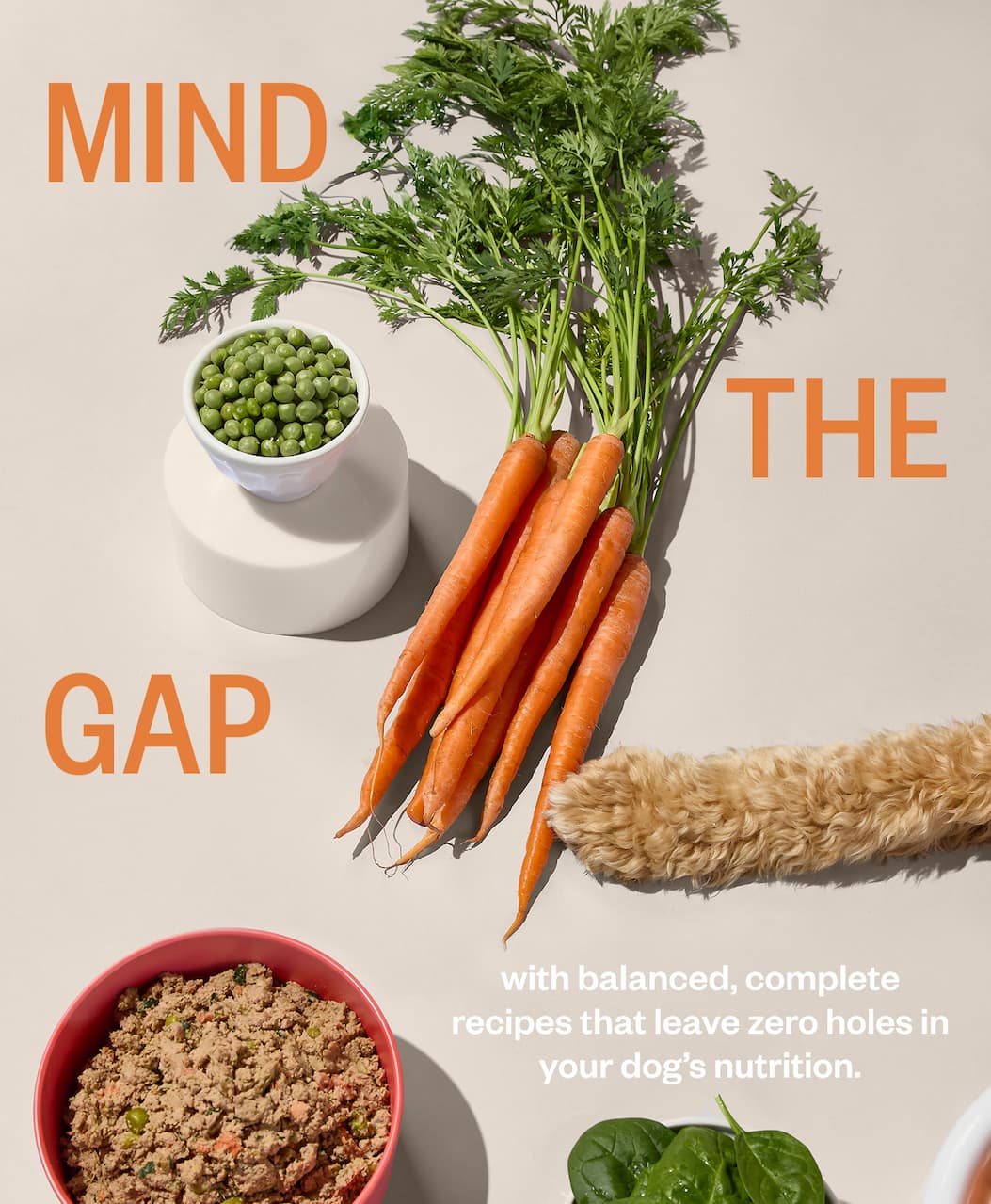 Mind the gap