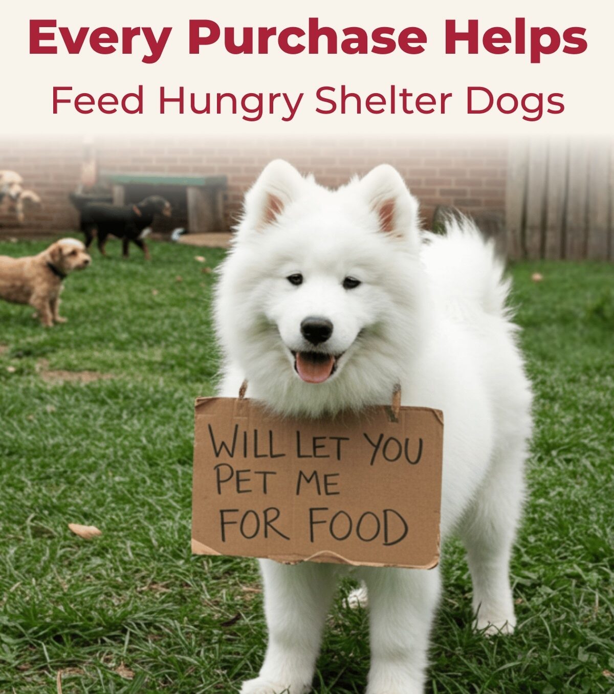 Every Purchase Helps Feed Hungry Shelter Dogs
