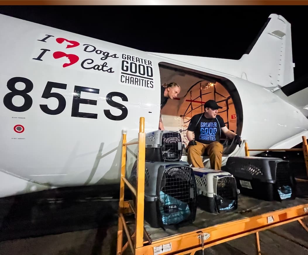 Every Purchase Helps Feed Hungry Shelter Dogs