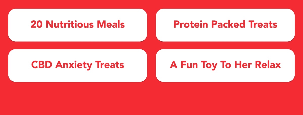 Every Purchase Helps Feed Hungry Shelter Dogs