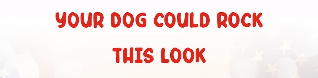 Your Dog Could Rock This Look