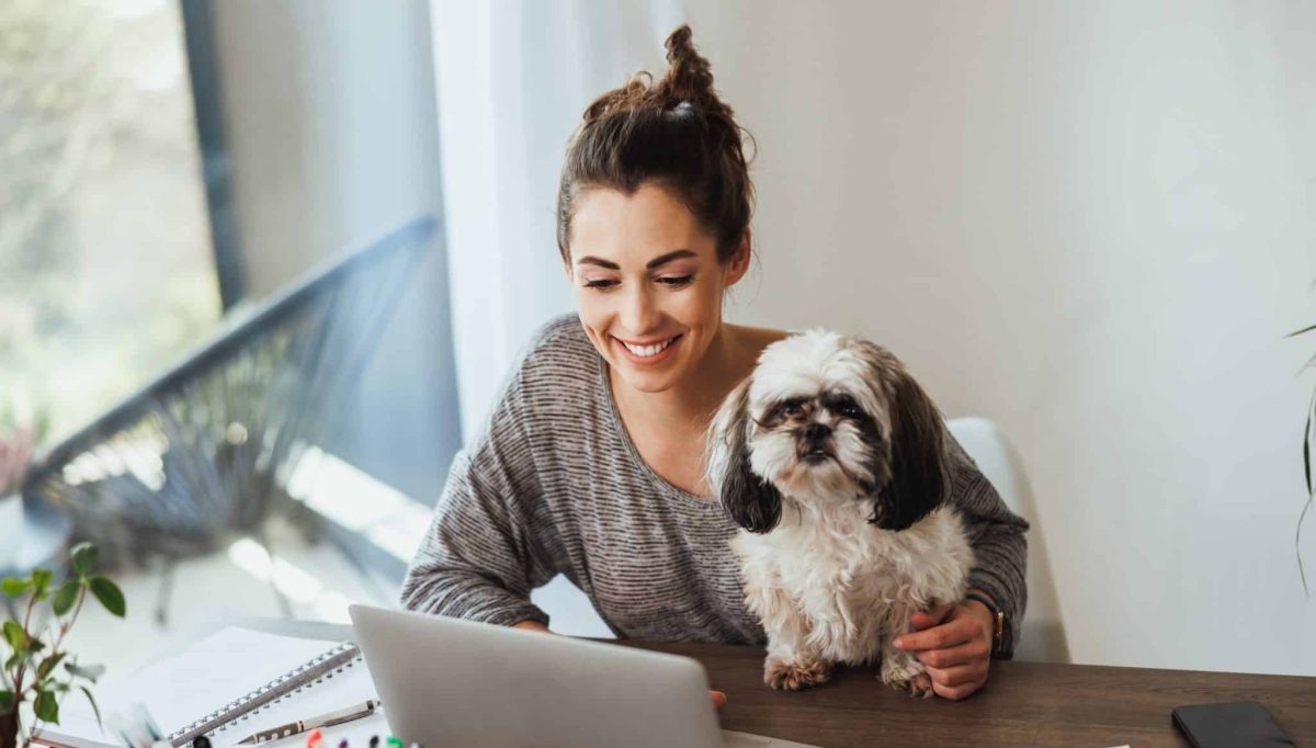 15 Top Dog Breeds for People Who Want a True Companion