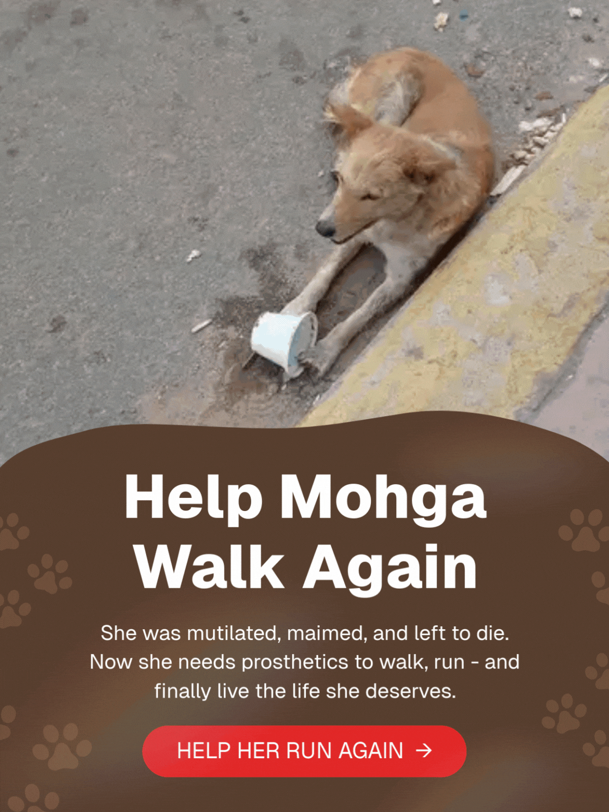 Steps Of Hope Project