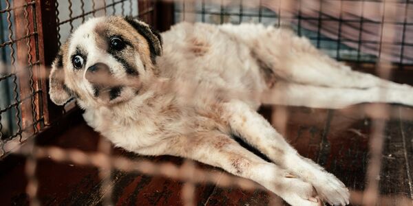 Unspeakable Conditions Took Nine Lives — And Left Others Barely Hanging On