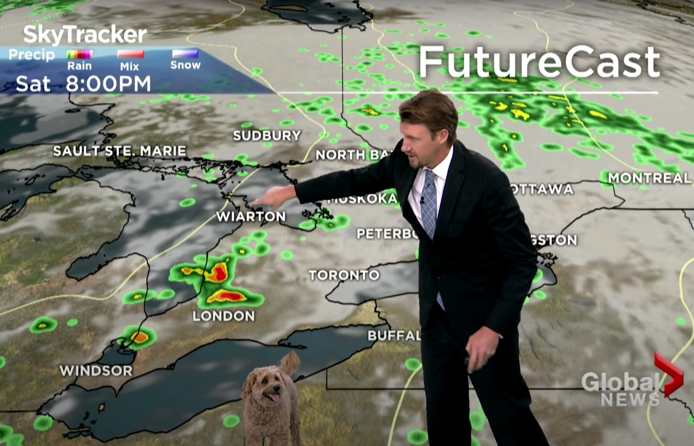 Meteorologist’s Dog ‘Interrupts’ Weathercast In Search Of Treats