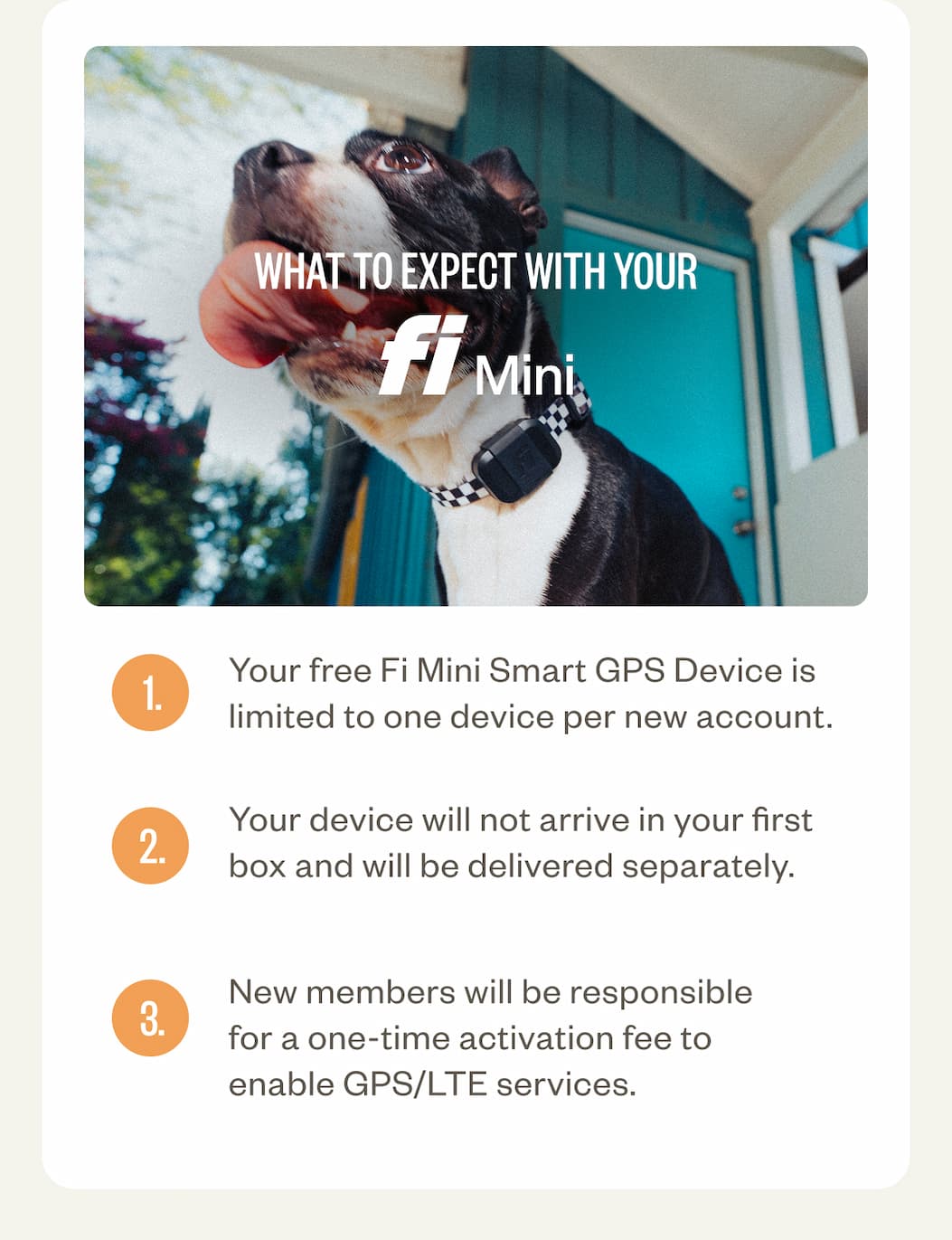 What To Expect With Your Fi Mini