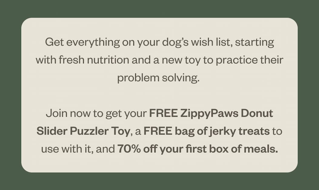FREE ZippyPaws Donut Slider Puzzler Toy