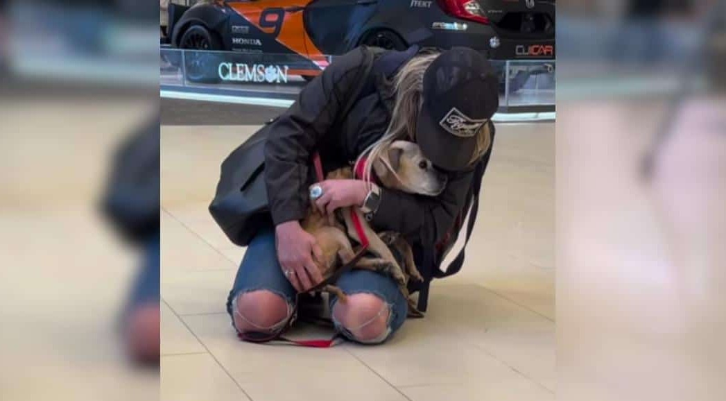 Seven Years Missing, This 16-Year-Old Dog Finally Found His Way Home