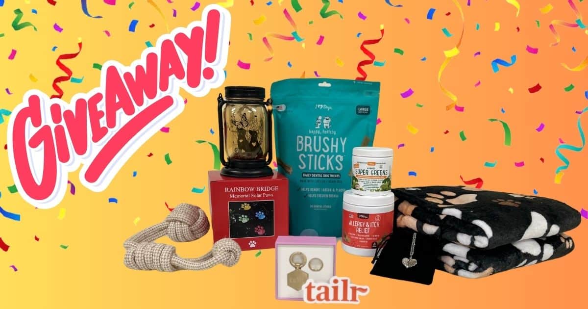 Win A Tailr Pet Tag Plus iHeartDogs Goodies For You & Your Pup!