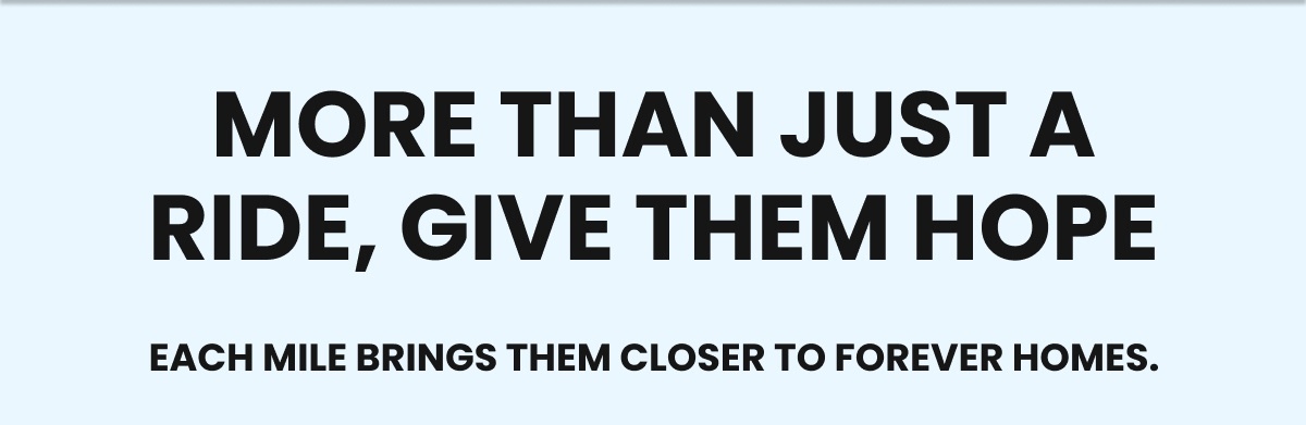 Look Good, Do Good, Save Lives - Style that gives them a fresh start.