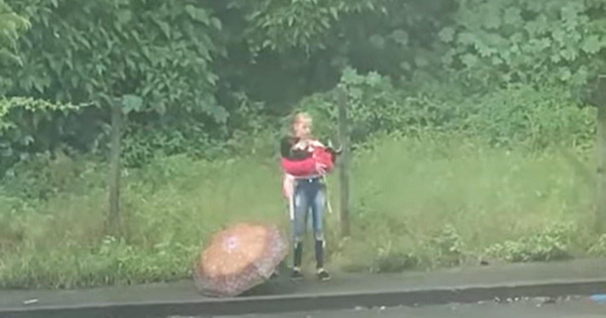 Sweet Student Saves Stranded Stray From Soggy Sidewalk