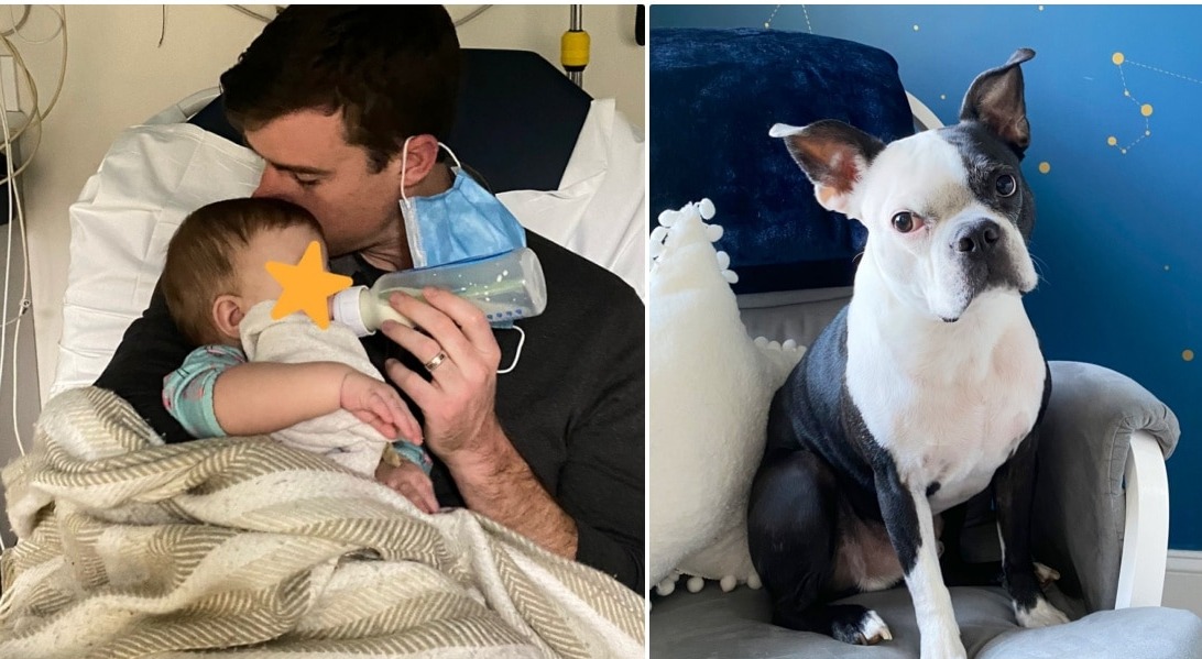 Dog Kept Bursting Into Baby’s Nursery But Parents Didn’t Get It At First