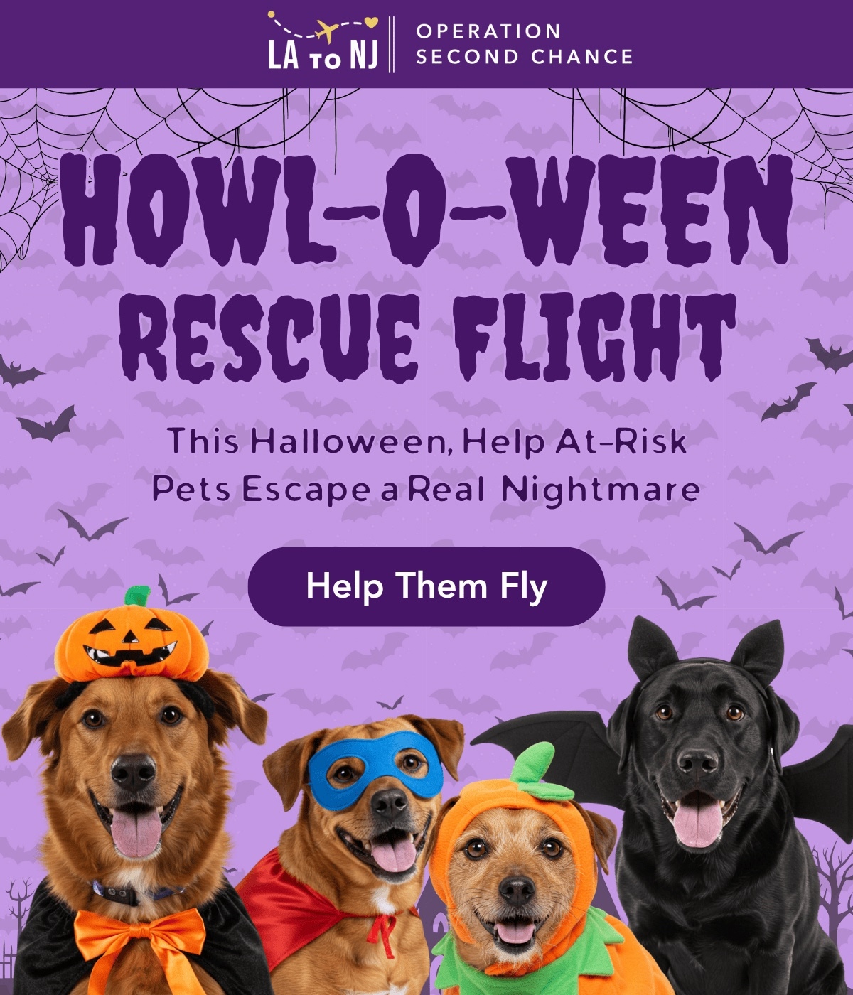 HOWL-O-WEEN RESCUE FLIGHT