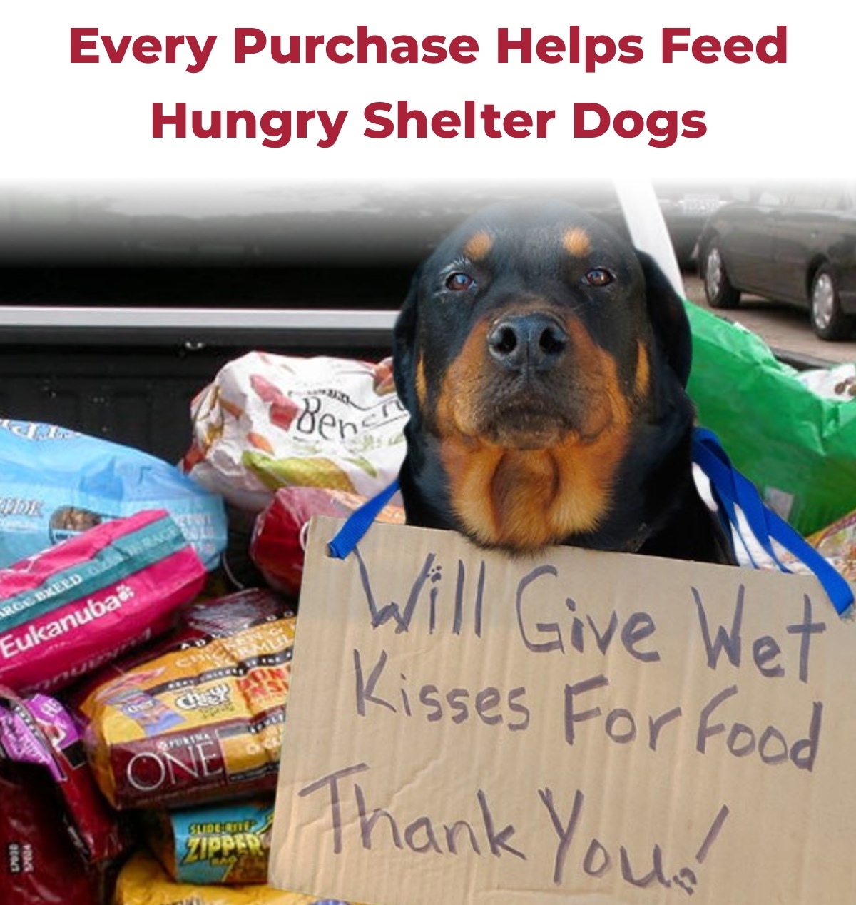 Every Purchase Helps Feed Hungry Shelter Dogs