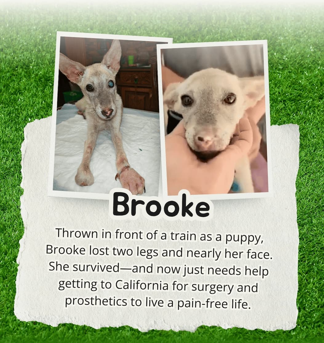 Brooke