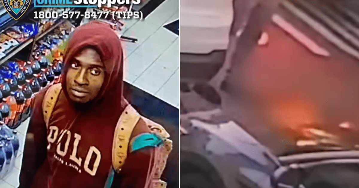 Man Lights Motionless Dog Down Street And Lit It On Fire, Police Need Your Help