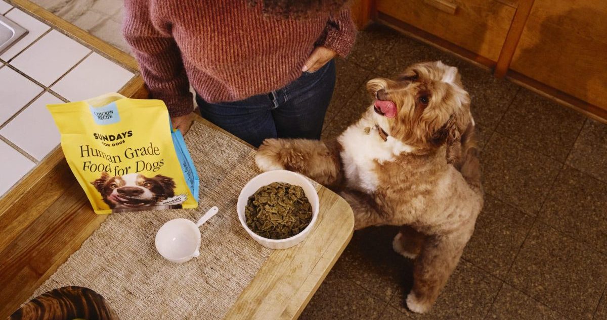 Vet-Founded, Air-Dried Food Your Pup Will Love!