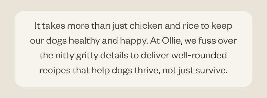 Help dogs thrive, not just survive