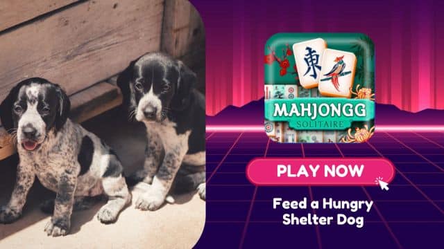 Play Mahjongg Solitaire For Free And Feed Shelter Dogs!
