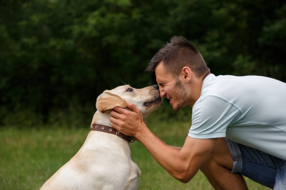 20 Sweet Ways Dogs Quietly Show You How Much You Mean to Them