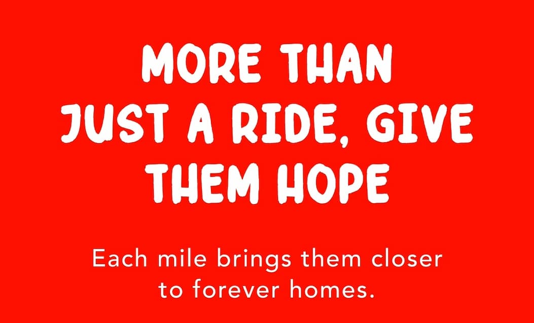 More Than Just a Ride, Give Them Hope - Each mile brings them closer to forever homes.