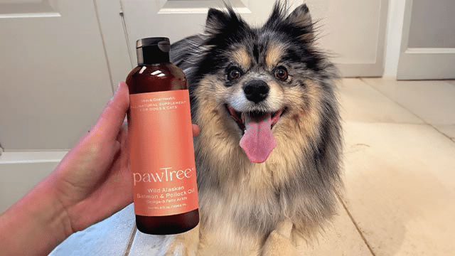 Fish Oil: The Ultimate Solution For Seasonal Allergies And More