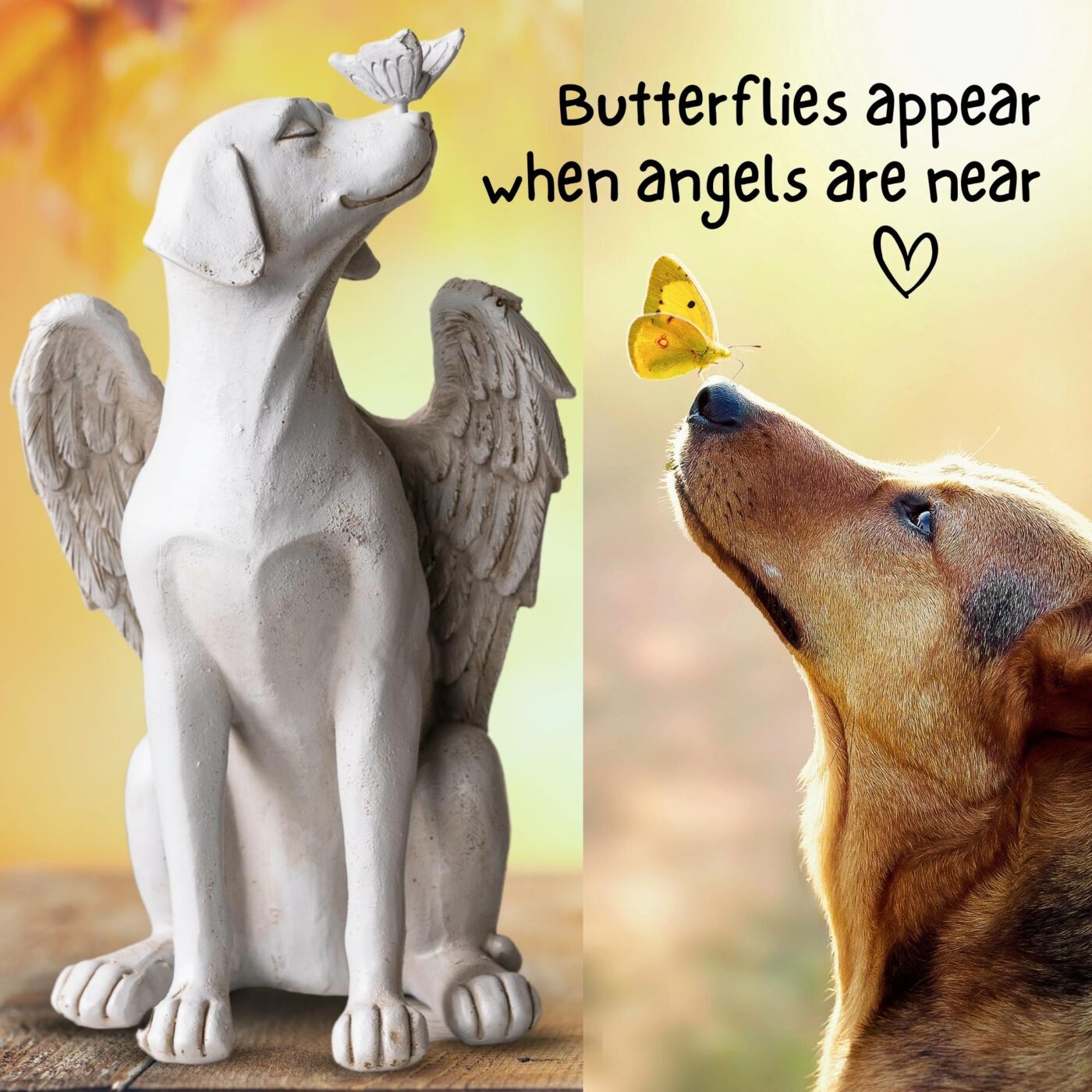 Dog Memorial Angel with Butterfly Indoor/Outdoor Figurine – Deal 17% OFF