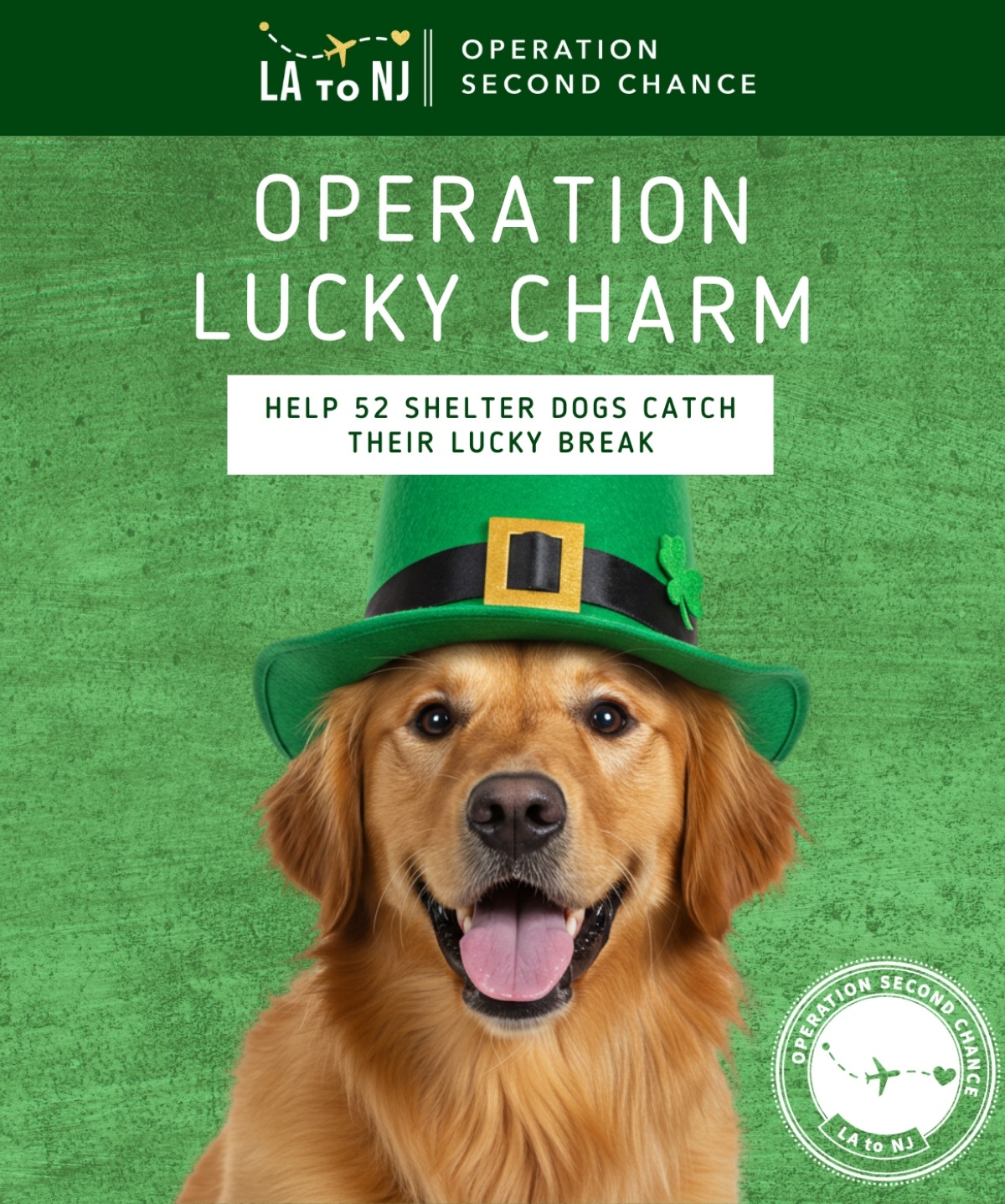 OPERATION LUCKY CHARM - HELP 52 SHELTER DOGS CATCH THEIR LUCKY BREAK