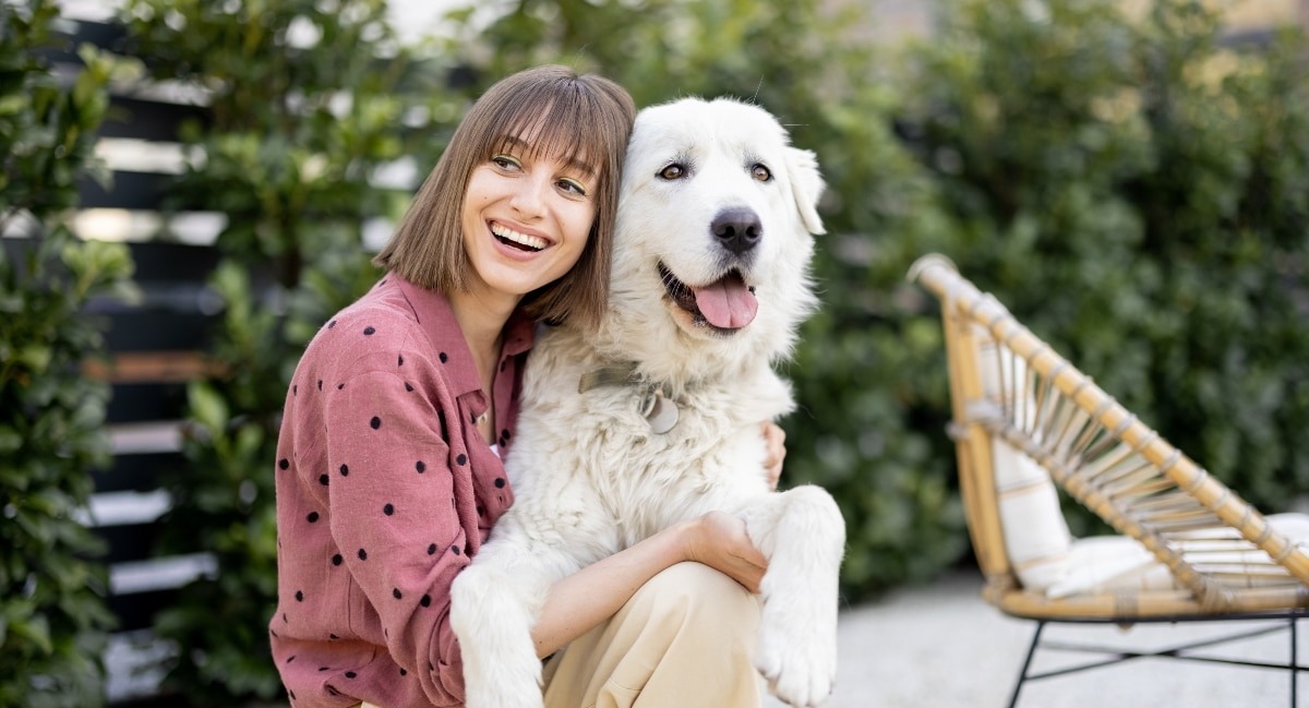 17 Heavy-Duty Amazon Products That Can Survive Big Dogs