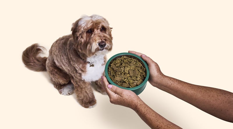 Dog Owners Swear by It—But What’s Really Inside?