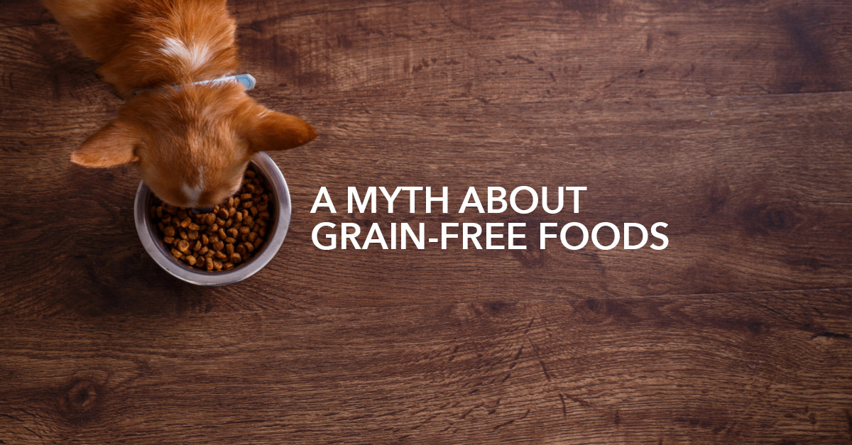 Surprisingly, “Grain-Free” foods contain 50% carbs! Learn how to boost your dog’s protein inexpensively