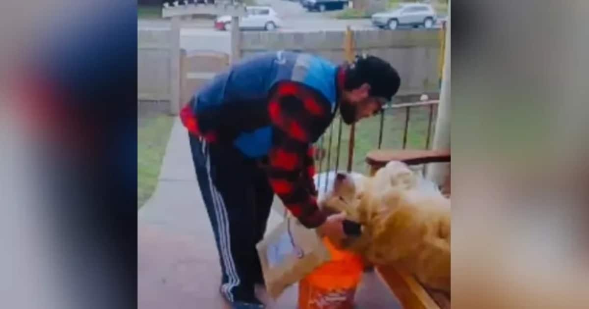 Delivery Drivers Showcase Their Heartwarming Bonds with Four-Legged Customers