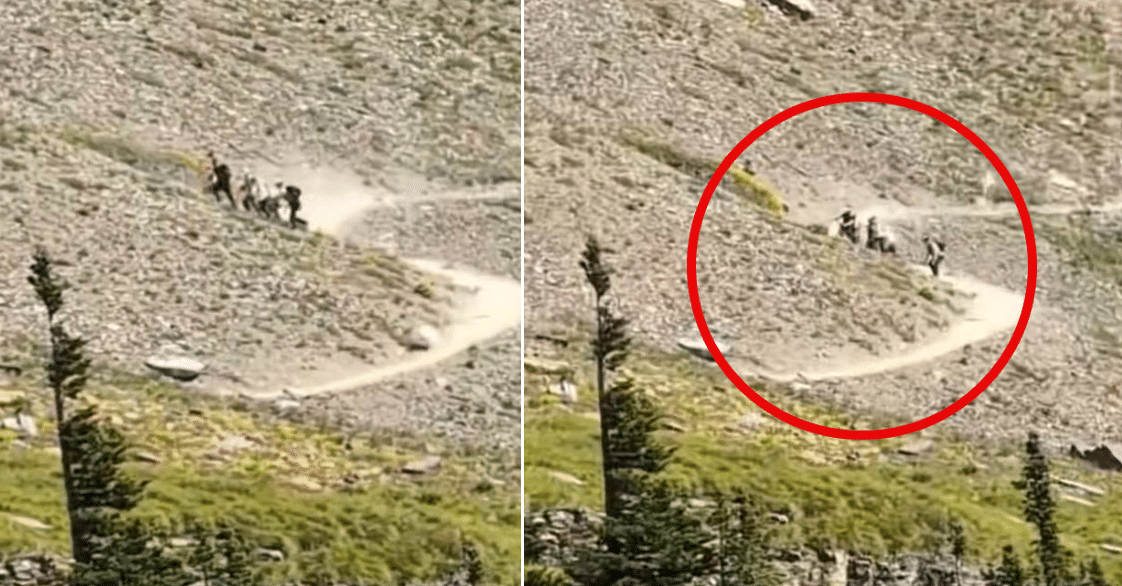 Hikers Panic As They Realize The Bear Is Sprinting Toward Them