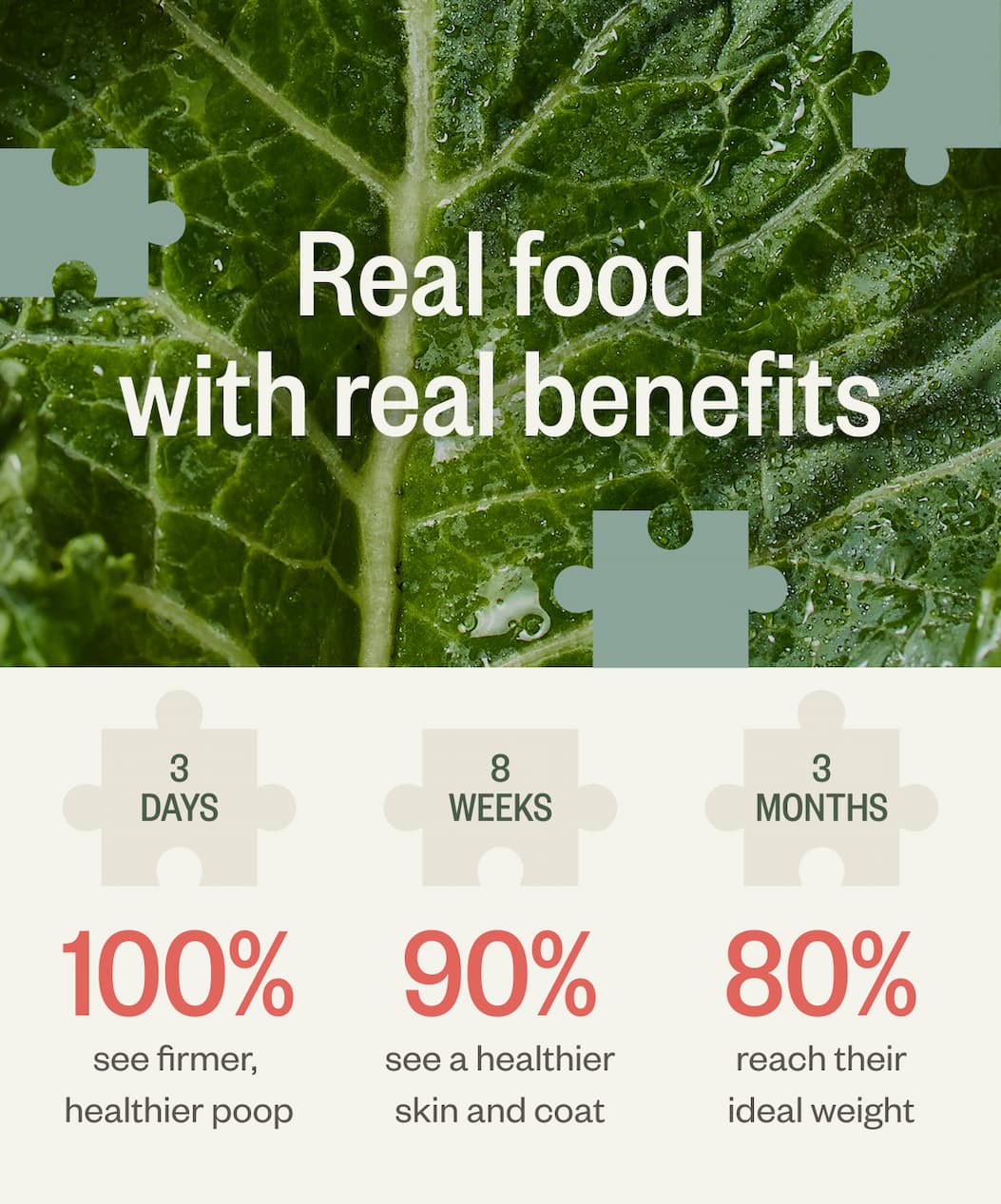 Rea; food with real benefits