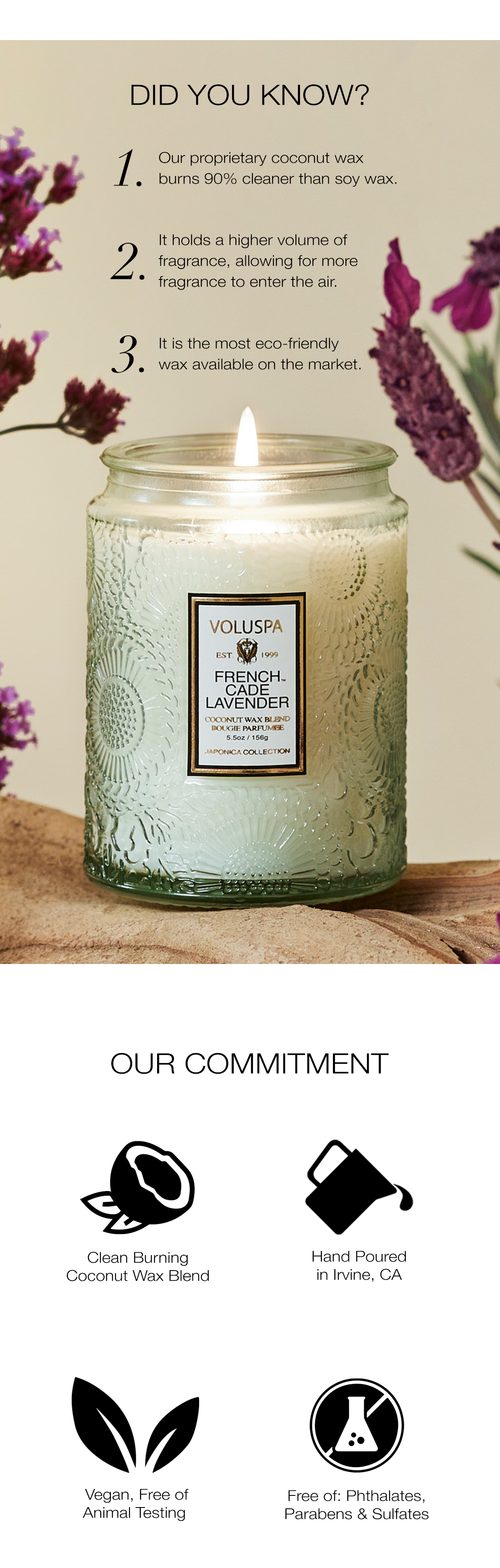 Best in Class Voluspa