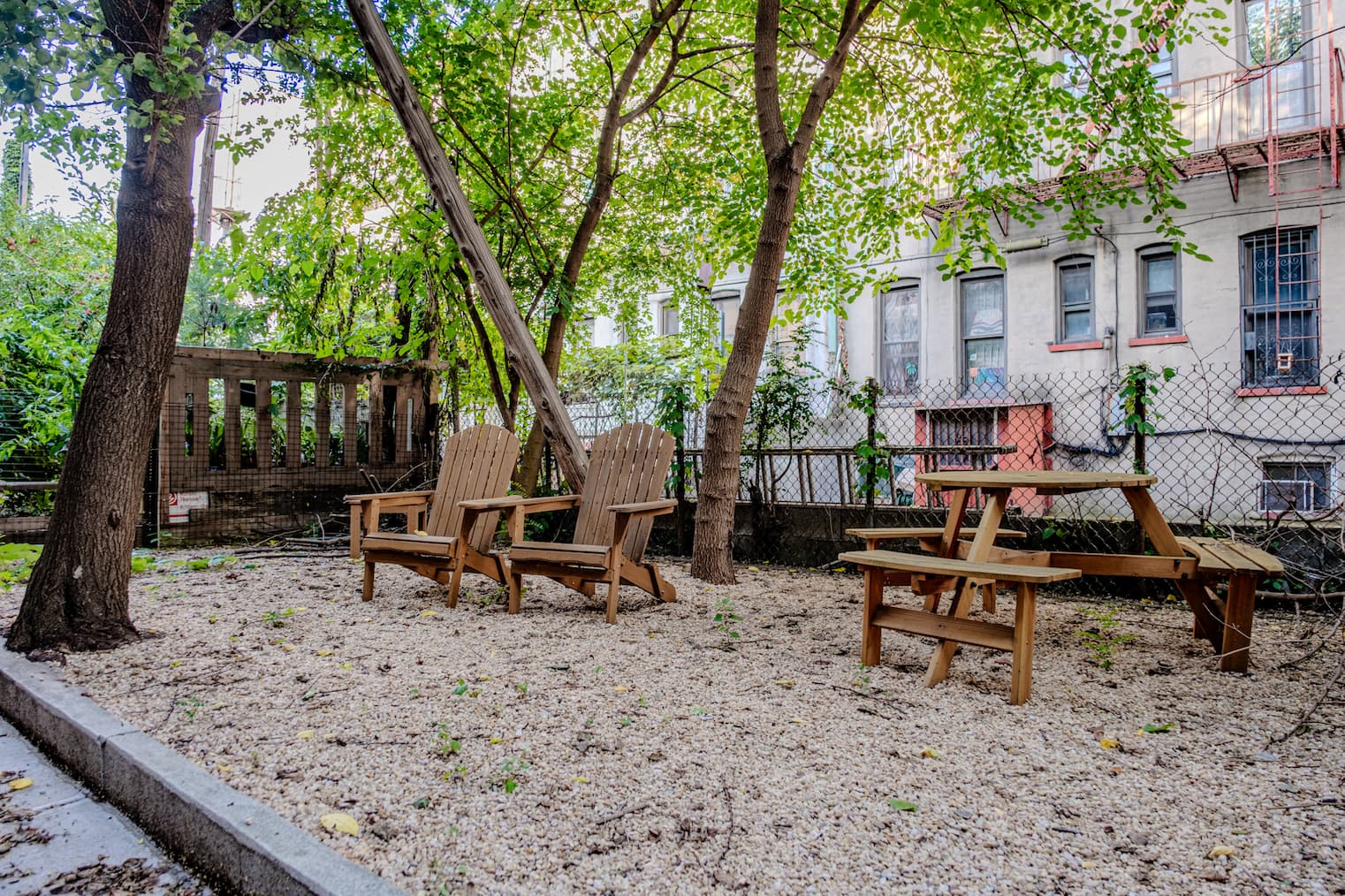 Backyard picture
