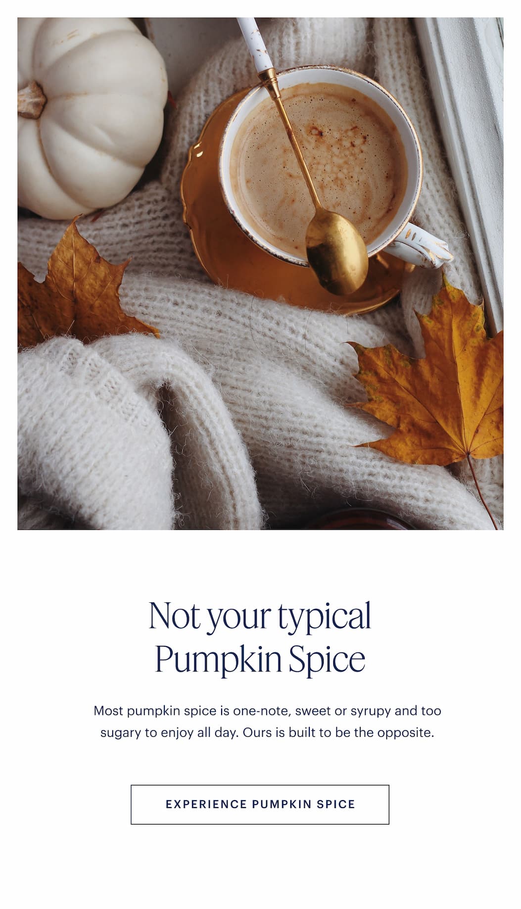 Shop Pumpkin Spice 