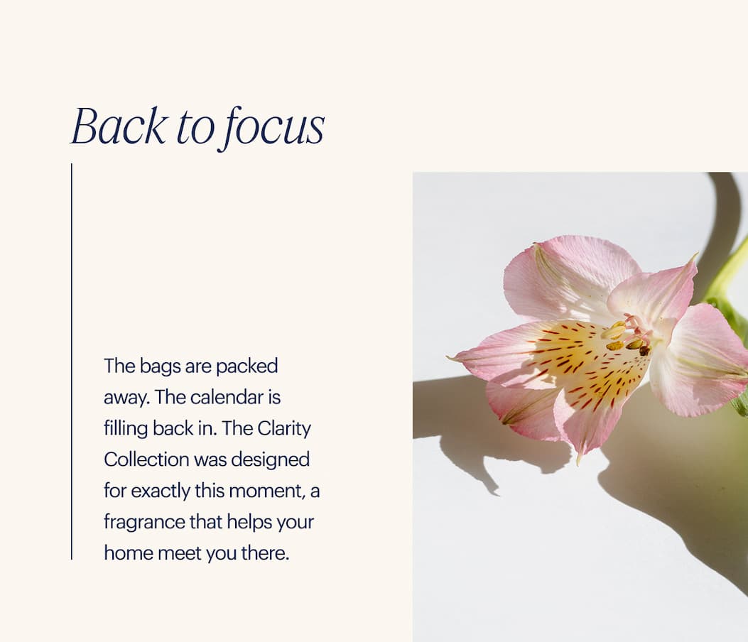 Shop the Clarity Collection