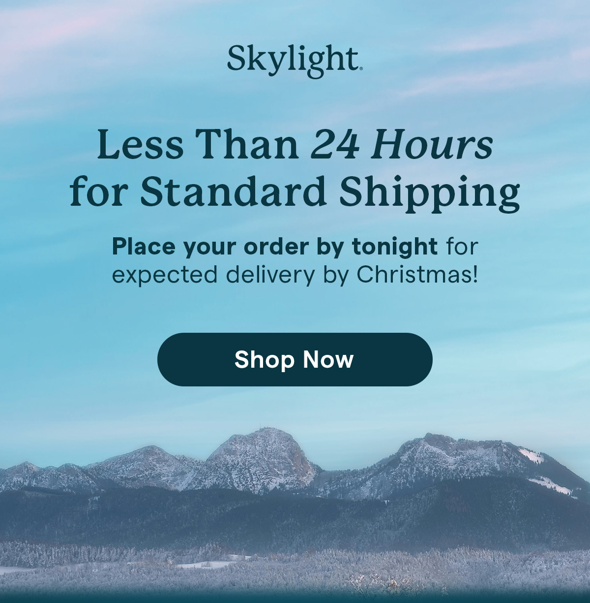 less than 24 hours for standard shipping shop now