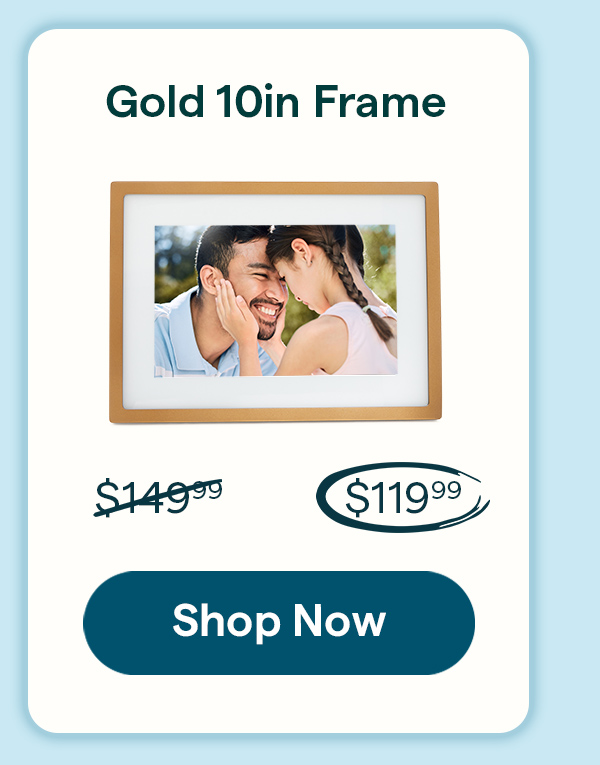 shop 10in gold frame