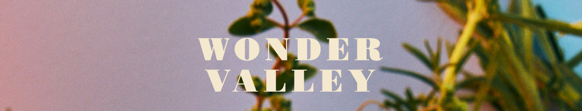 WONDER VALLEY