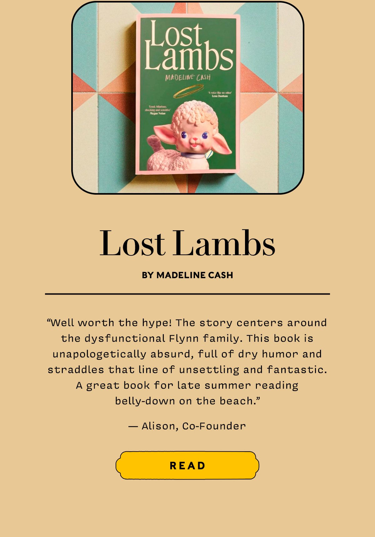 Lost Lambs by Madeline Cash  Well worth the hype! The story centers around the dysfunctional Flynn family. This book is unapologetically absurd, full of dry humor and straddles that line of unsettling and fantastic. A great book for late summer reading belly-down on the beach. 