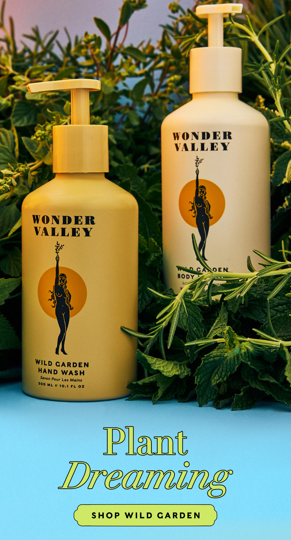 Plant Dreaming  SHOP WILD GARDEN