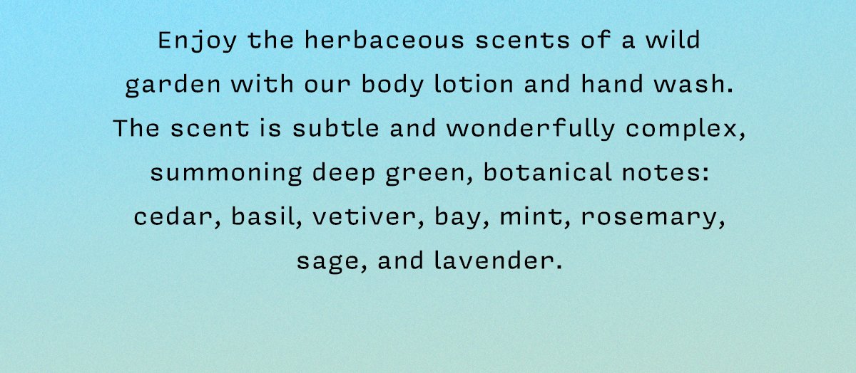 Enjoy the herbaceous scents of a wild garden with our body lotion and hand wash. The scent is subtle and wonderfully complex, summoning deep green, botanical notes: cedar, basil, vetiver, bay, mint, rosemary, sage, and lavender.